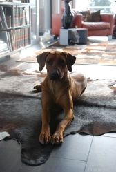 20120304_Macuma 15 Monate alt 0032